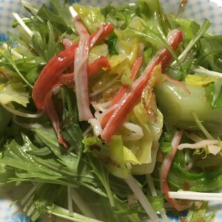 春キャベツと水菜のサラダ